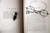 SHARP EYES A Rambler's Calendar by Wm. Hamilton Gibson 1904 Insects/Birds/Flower