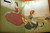 ALICE IN WONDERLAND by Lewis Carroll & Marjorie Torrey Pics 1955 Random House 