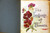 The Language of Flowers 1989 HC/DJ 10th - Floral Dictionary - Margaret Pickston