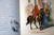 The Good Samaritan + Prodigal Son FATHER TUCK Parable Series 1901 Books Brundage