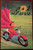Witch on a Motorcycle by Marian Frances 1972 Troll Associates Vintage Halloween