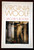 Jacob's Room by Virginia Woolf (1978) Harcourt Brace Trade Paperback HARVEST
