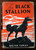 The Black Stallion by Walter Farley 1941 HC/DJ 33rd Print Keith Ward Illustrated