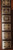 THE MAGIC MOUNTAIN Thomas Mann Oxford University Press Great Books 1982 Leather
