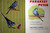 PARAKEET PETER 1954 Vintage Rand McNally Tip-Top Elf #8688 Dorothy Grider