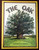 THE OAK by Geoffrey Patterson 1979 HC/DJ Vintage Children's Book First Edition