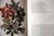 Plants of Christmas by Hal Borland/Anne Ophelia Dowden Illustrated 1969 Vintage