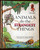 Animals Do the Strangest Things by Hornblow & Frith -  Step-Up Book Vintage 1964