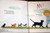 Puppies, Pussy Cats and Other Friends by Gyo Fujikawa 1975 Vintage Zokeisha Pub.
