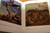 THE WORLD OF SALVADOR DALI by Robert Descharnes 1962 HC/DJ Vintage Art Book