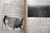 SOILS AND CROPS by J.G. Mosier & Eugene Davenport 1919 Illustrated