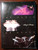 THE MAGIC OF DANCE by Margot Fonteyn 1979 1st American Edition HC/DJ BBC TV Show
