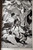 IRISH FAIRY TALES 2018 Flame Tree - Illustrated by Arthur Rackham/John D. Batten