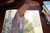 Big Creatures from the Past: Vintage Dinosaur Pop-Up Book by Clare Watson 1990