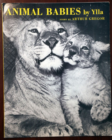 ANIMAL BABIES by YLLA 1959 Scholastic Paperback Story by Arthur Gregor VINTAGE