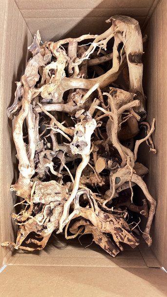 Spider Wood - Ready to Ship (30lbs of Branches)(Box F)