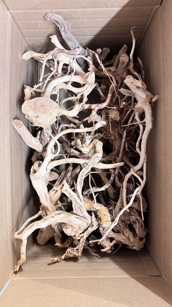 Spider Wood - Ready to Ship (25lbs of Branches)(Box G)