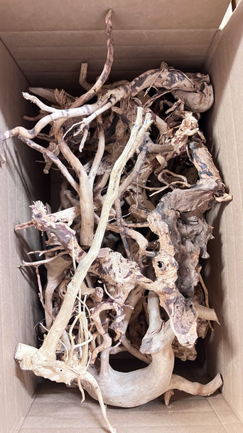 Spider Wood - Ready to Ship (33lbs of Branches)(Box H)