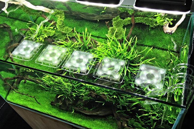GLA PPS-PRO AQUARIUM FERTILIZER PACKAGE - MIX & DOSING INSTRUCTION