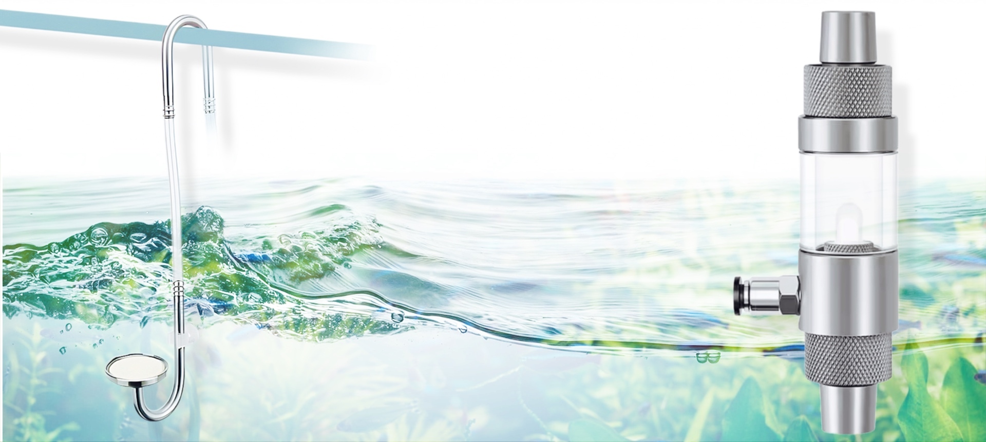 Shop GLA Aquarium Plants