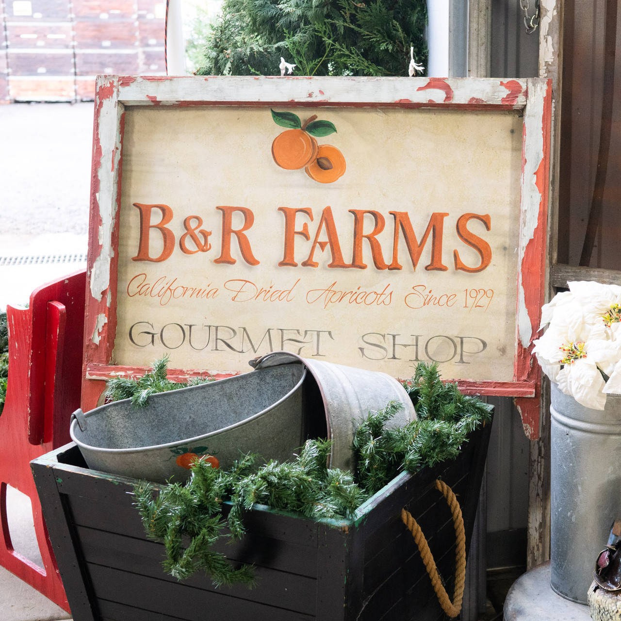 B & R Farms Hosts Holidays on the Farm