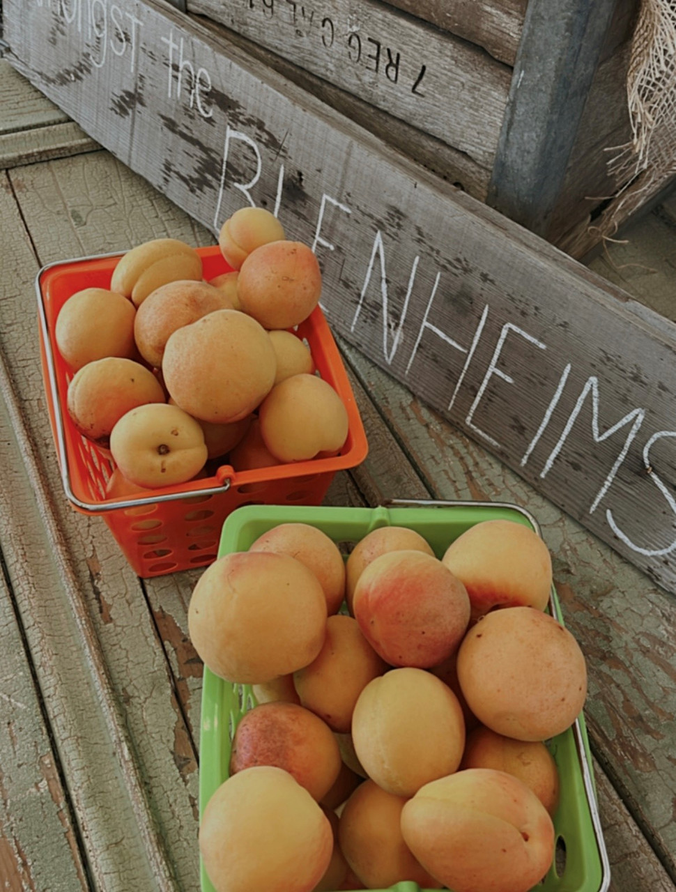 Happy Harvest Time! It's U-Pick Season!