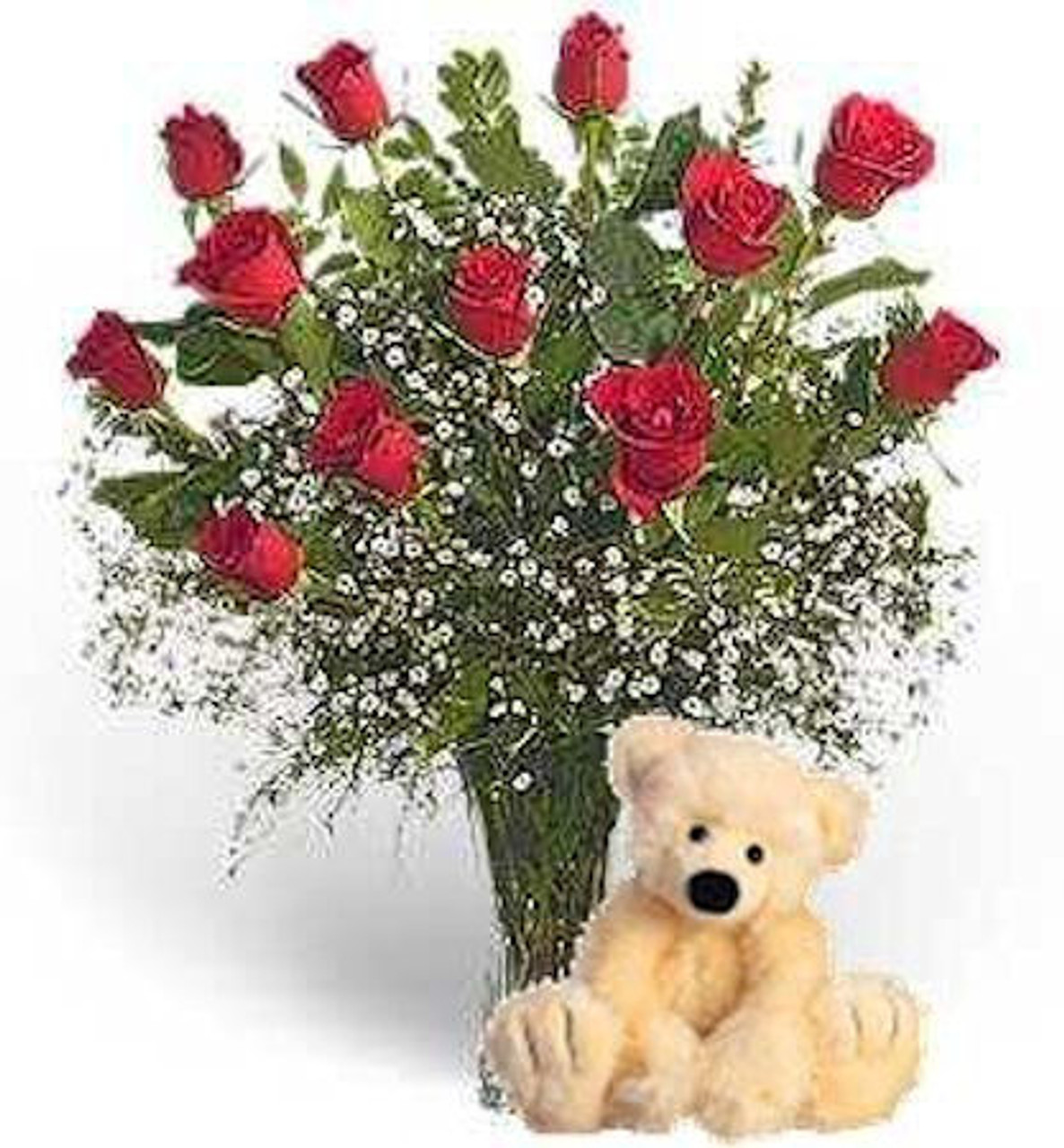 dozen roses teddy bear