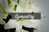 At a loss for words?  Flowers for sympathy and bereavement