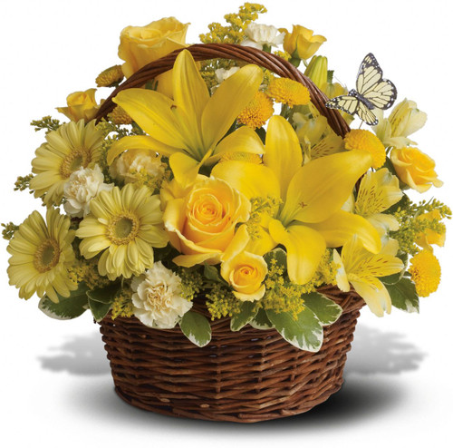 Wishes do come true, by the basketful, actually. This delightful arrangement is so full of sunny blossoms, it even includes a pretty yellow butterfly who obviously feels right at home, basking in the warmth.