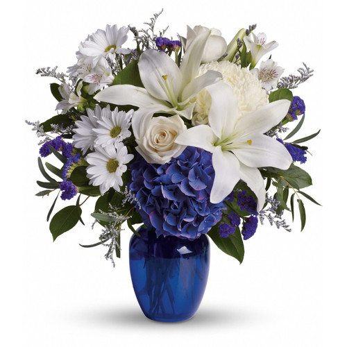 Brighten the home with the peace and beauty of a bright blue sky. This beautiful bouquet pairs pure white flowers with deep blue blooms in a gorgeous blue glass vase.
Blooms such as blue hydrangea, crème roses, graceful white Oriental or Stargazer lilies, white alstroemeria, a white disbud mum, purple statice and lavender limonium are accented by seeded eucalyptus and salal in a stunning cobalt blue glass vase.