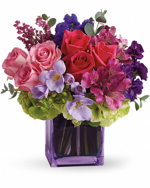Flower Color - #F44336*Red Flowers - Page 1 - Expressions In Bloom