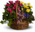 Blooming Garden Basket