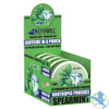 LyvWel Caffeine Nootropic Pouches - 16 Pouches Per Can - Pack of 5 Cans - Spearmint (Dry)