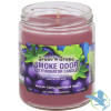Smoke Odor Exterminator Candle - 13 oz - Groov'n Grape