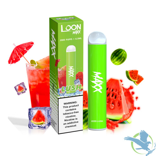 LOON MAXX 10-PACK - FROZEN FIZZY POP PEACH – The Loon Wholesale