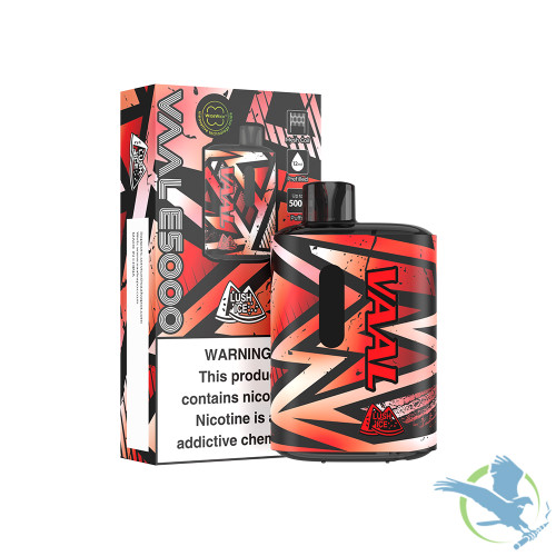 Vaal E5000 12ml 5000 Puffs 650mah Prefilled Nicotine Salt Rechargeable Disposable Device With Mesh Coil Display Of 10 Disposable Vape Midwest Distribution
