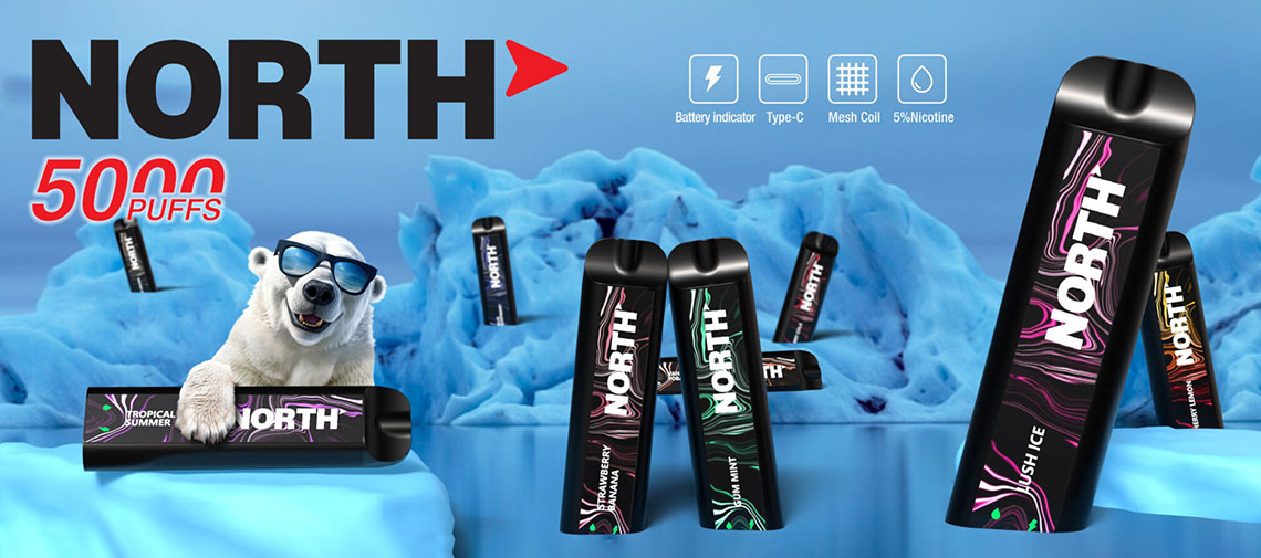   North 10ML 5000 Puffs 550mAh Prefilled Nicotine Salt Rechargeable Disposable Vape Device