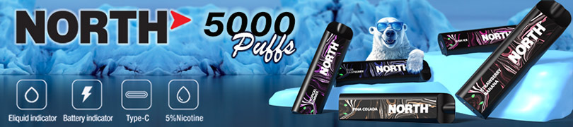 North 5000 Disposable Nicotine Vaping Device