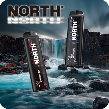 North Vape Disposable Ecigs