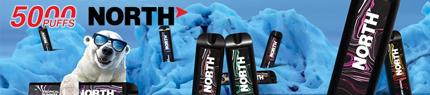 North 5000 Deisposable Ecigs Wholesale