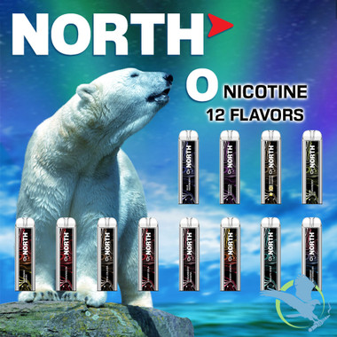 North 10ML 5000 Puffs 550mAh Prefilled Disposable Vape Device