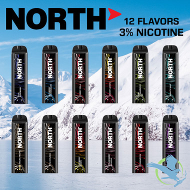 North 10ML 5000 Puffs 550mAh 3% Prefilled Nicotine Salt Rechargeable Disposable  Vape Device With Mesh Coil & E-liquid & Battery Indicator - Display of 10  (MSRP $25.00 Each)