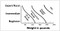 Booster Strap Intermediate Weight Chart