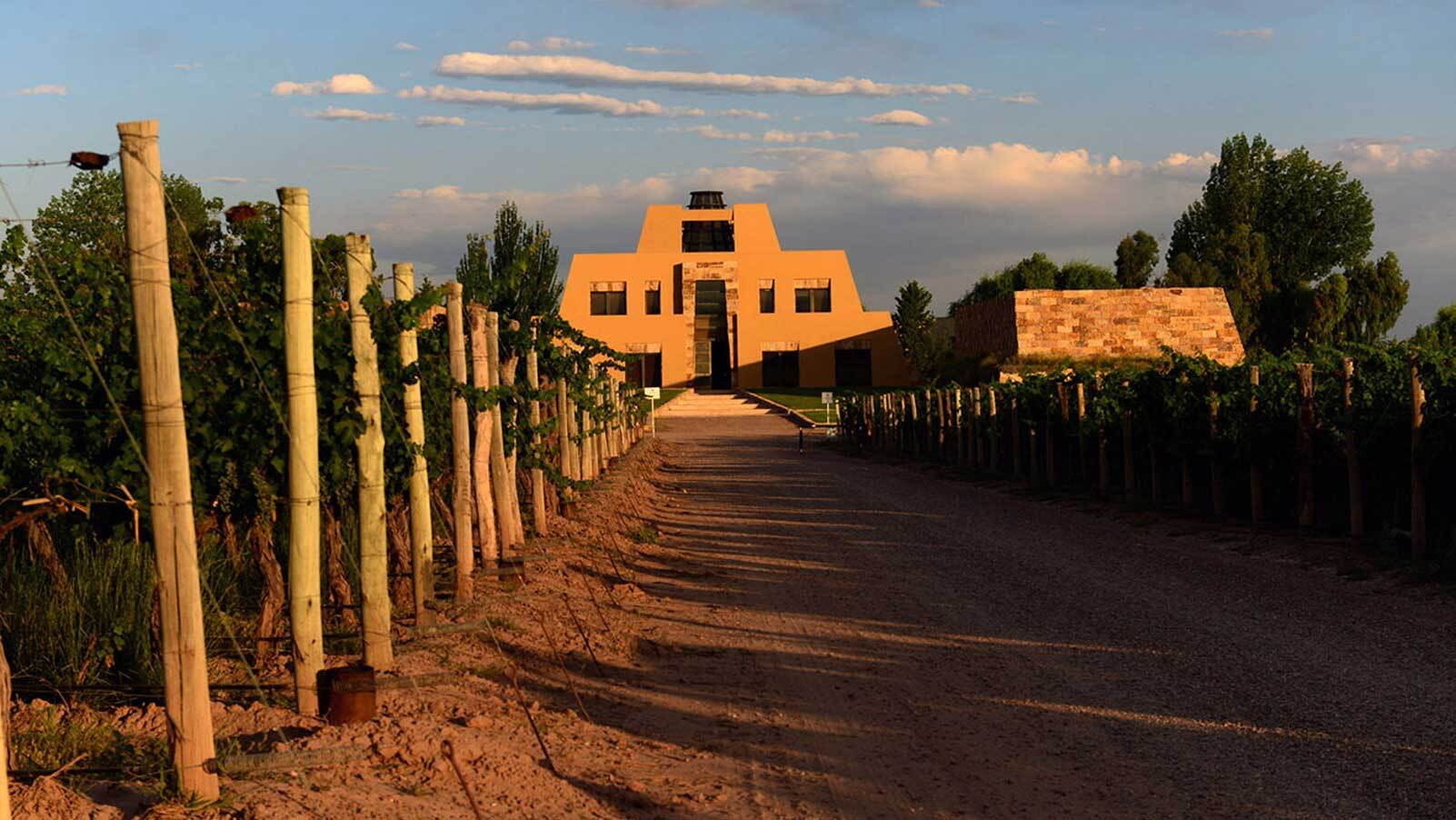 An image of the Catena Zapata winery taken from the vineyard that surrounds it