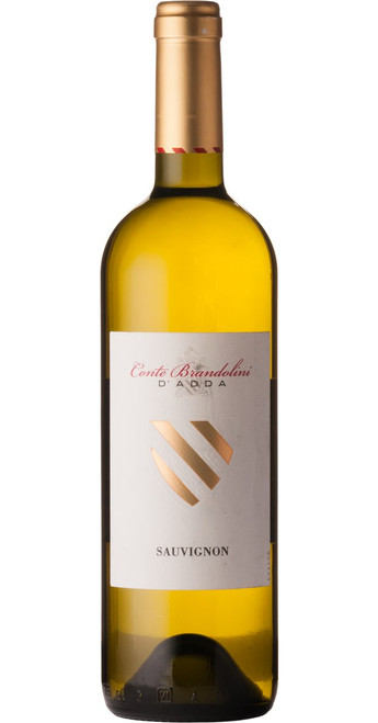 Brandolini Sauvignon Bianco DOC Friuli 2023 Vistorta - A343.jpg