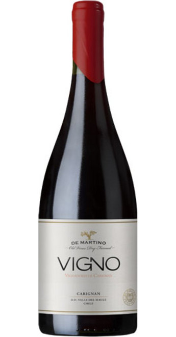 Old Vine VIGNO Carignan 'La Aguada' Field Blend 2022 De Martino Old Vine Series - J42861.jpg