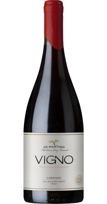Old Vine VIGNO Carignan 'La Aguada' Field Blend 2018 De Martino Old Vine Series - J4286118.jpg