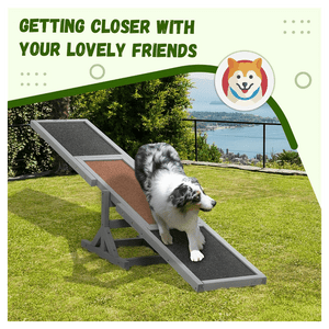Wooden Dog Agility Seesaw T575-S0671388411 Wooden Dog Agility Seesaw T575-S0671388411