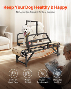 Dog Treadmill for Large Dogs up to 220 lbs Indoor Pet Running Machine E415-FDDGGPBJDXQLRMHH8V0 Dog Treadmill for Large Dogs up to 220 lbs Indoor Pet Running Machine E415-FDDGGPBJDXQLRMHH8V0