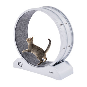 VEVOR Cat Exercise Wheel 31.5 in Large Indoor Cat Running Wheel Treadmill White E415-SLMPBJBSPP31K33DZV0 VEVOR Cat Exercise Wheel 31.5 in Large Indoor Cat Running Wheel Treadmill White E415-SLMPBJBSPP31K33DZV0